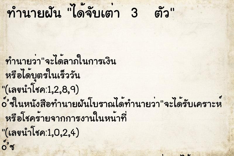 ทำนายฝันทำนายฝันได้จับเต่า3ตัว